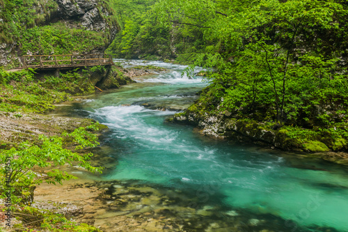 River Radovna in Vintgar gorge near Bled, Slovenia
