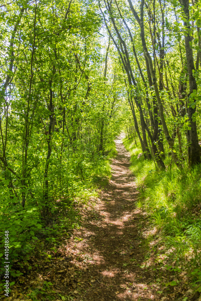 Hiking trail near Skocjan Caves, Slovenia