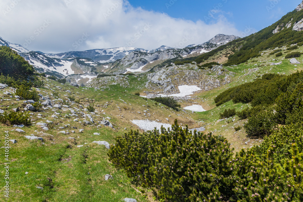 Landscape of Durmitor national park, Montenegro. Landscape of Durmitor national park, Montenegro.
