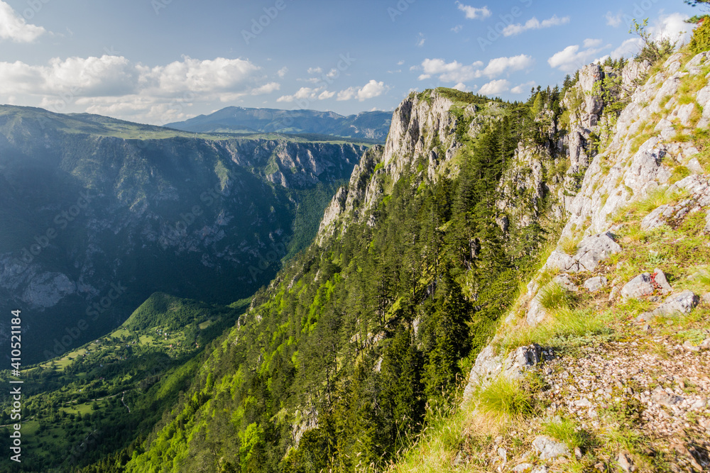 Fototapeta premium View of Tara canyon from Curevac mountain, Montenegro.