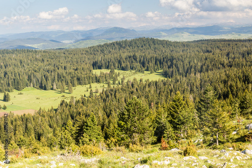 Landscape near Curevac mountain  Montenegro.