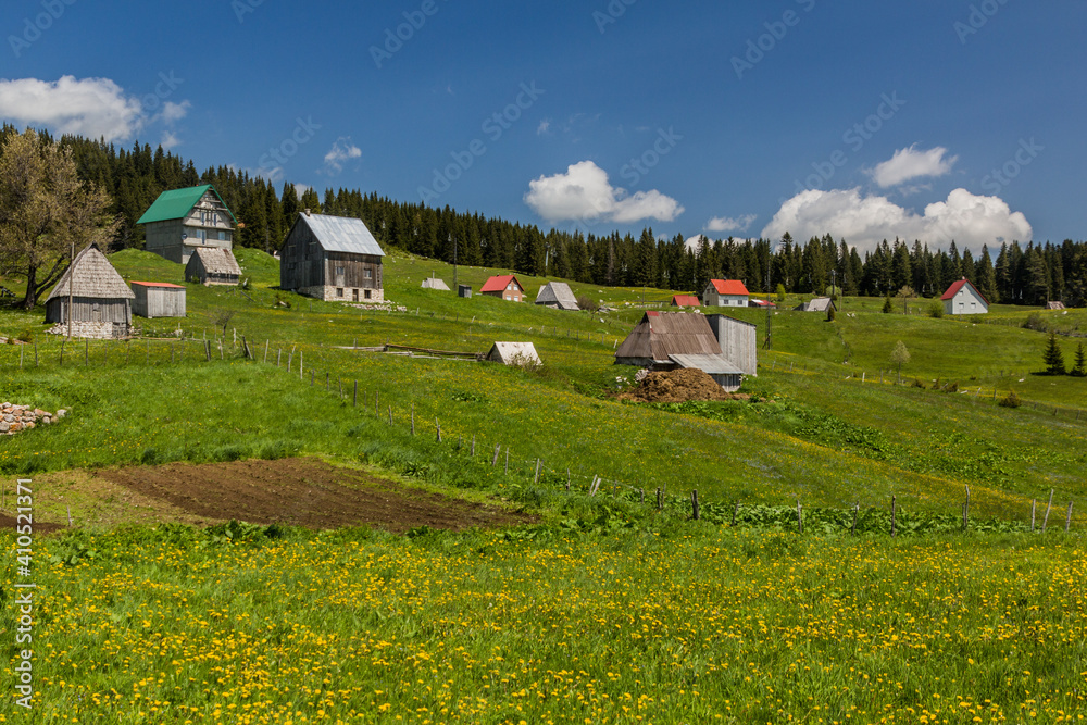 Obraz premium Bosaca village in Durmitor mountains, Montenegro