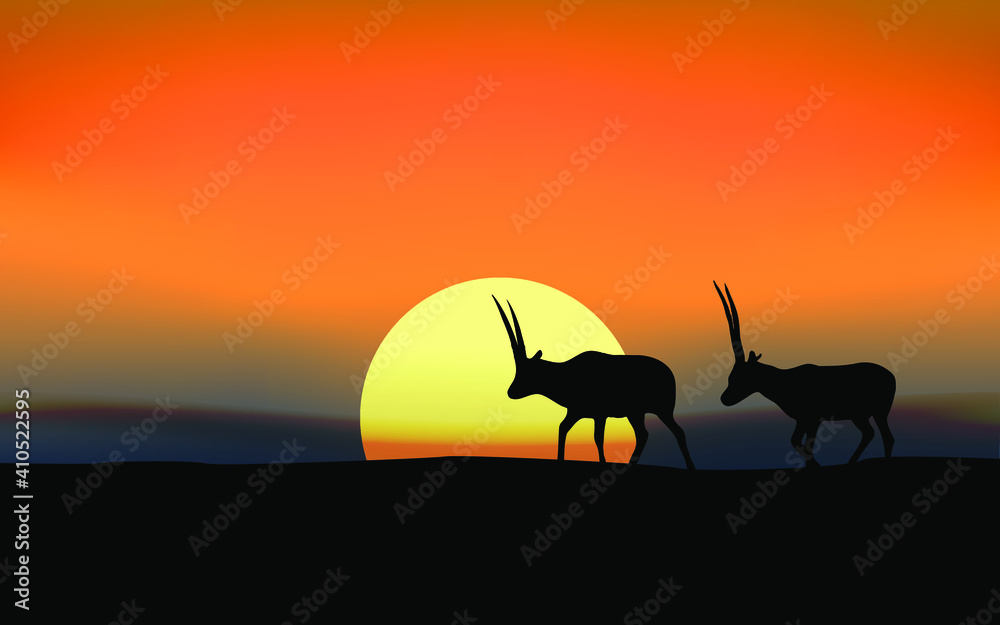 Antelope in sunset