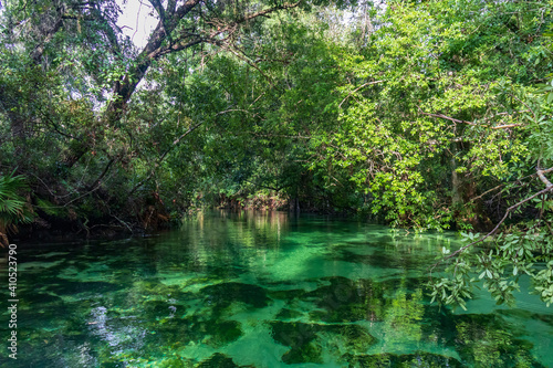 Weeki Wachee River,  Florida