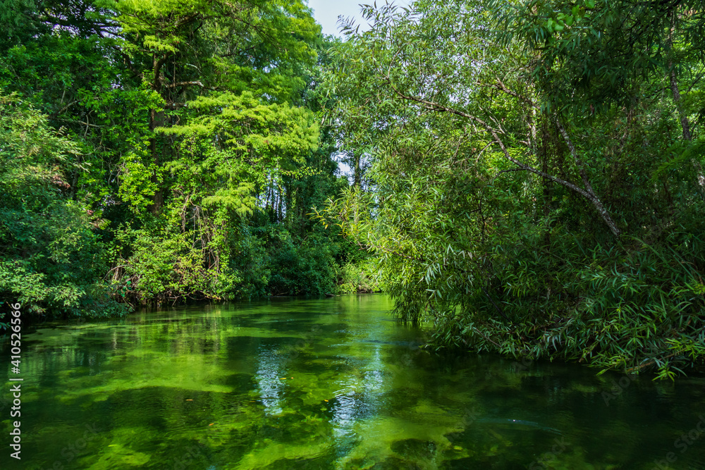 Weeki Wachee River, Florida Weeki Wachee River, Florida