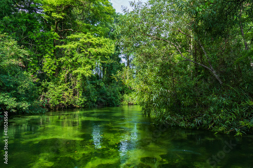 Weeki Wachee River,  Florida