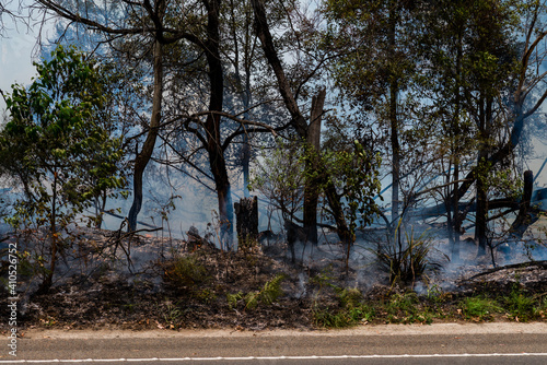 фотографія hazard reduction burn off in Sydney