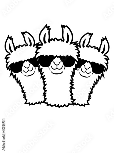 Team 3 Lama 