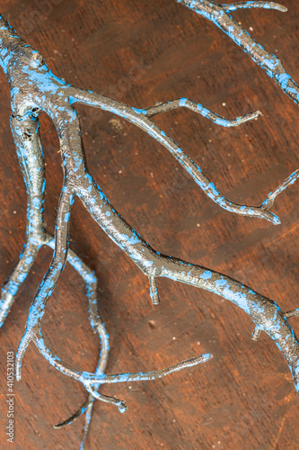 Photography black and blue veiny texture