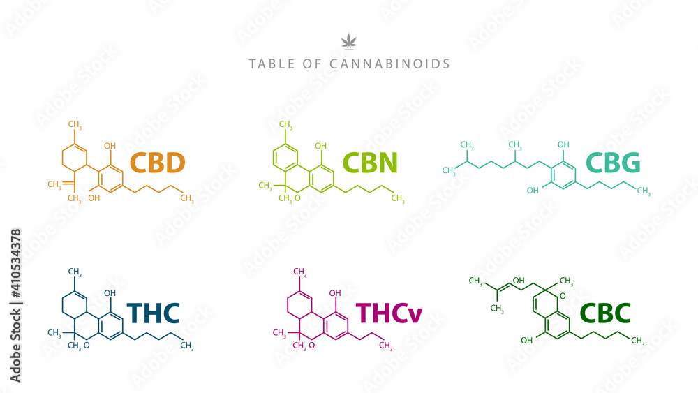 Table of cannabinoids. Chemical formulas of natural cannabinoids isolated on white background Table of cannabinoids. Chemical formulas of natural cannabinoids isolated on white background