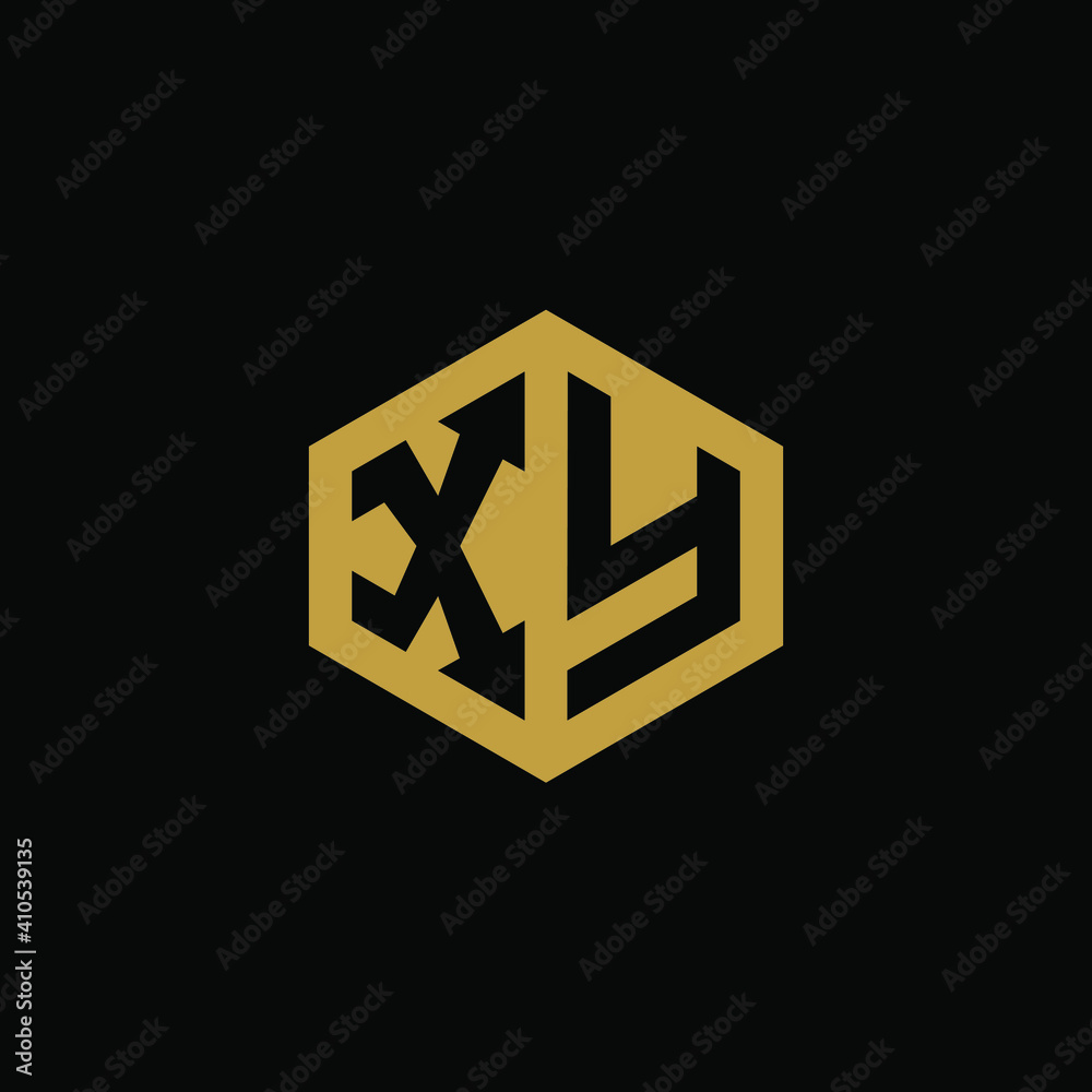 Initial letter XY hexagon logo design vector Initial letter XY hexagon logo design vector