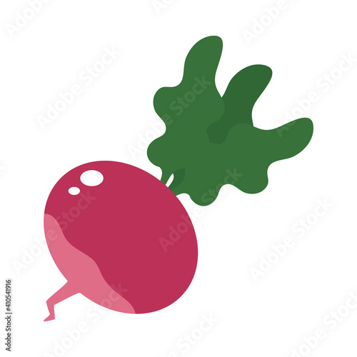 radish vegetable icon, colorful design