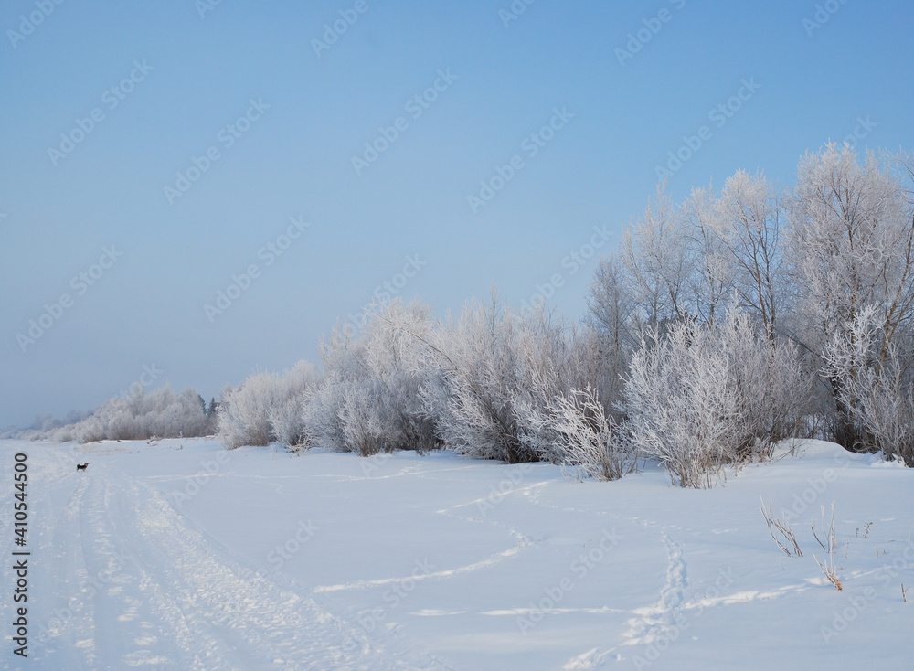 Winter fog in the vicinity of Omsk, Siberia Russia Winter fog in the vicinity of Omsk, Siberia Russia