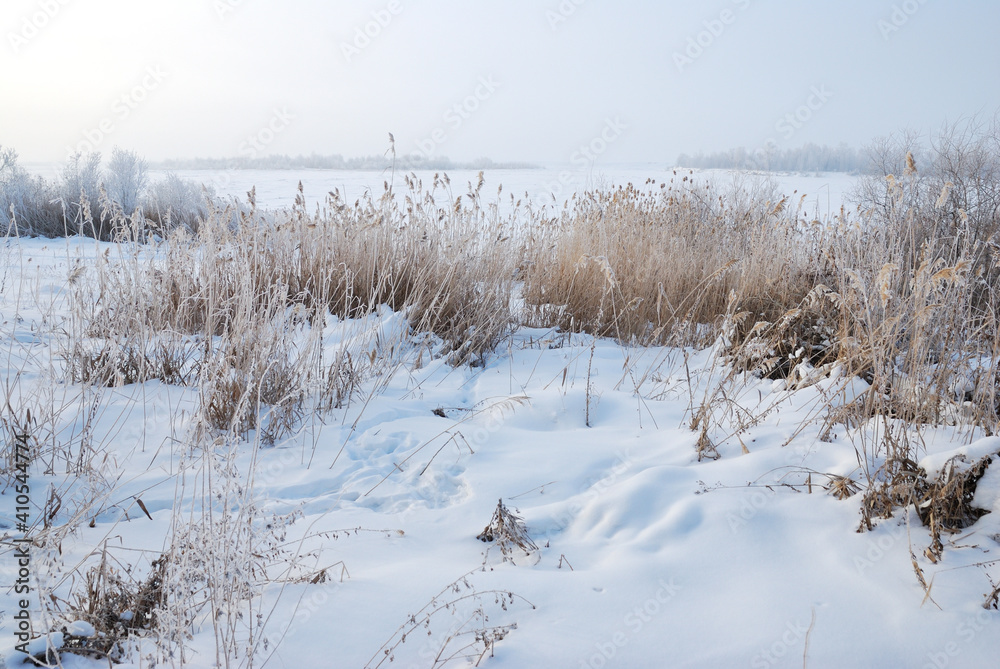 Winter fog in the vicinity of Omsk, Siberia Russia Winter fog in the vicinity of Omsk, Siberia Russia
