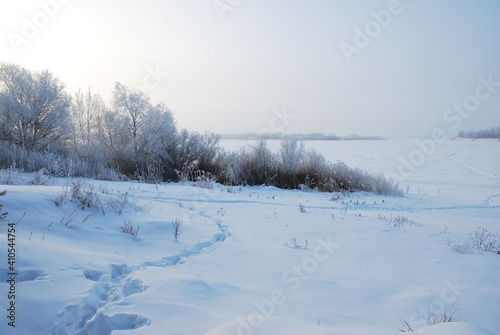 Wallpaper Mural Winter fog in the vicinity of Omsk, Siberia Russia Torontodigital.ca