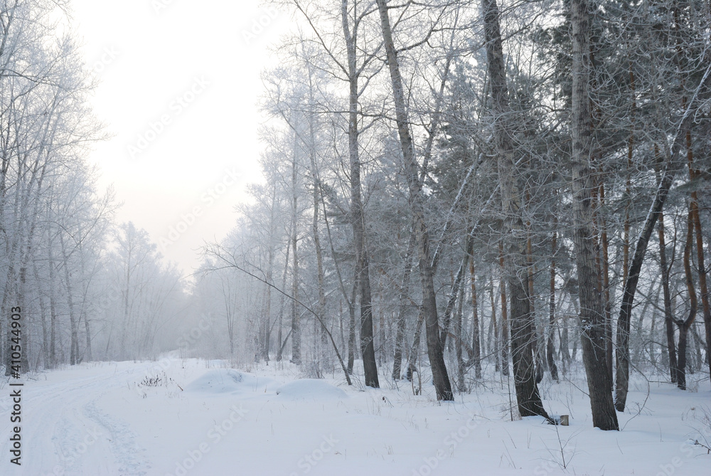Winter fog in the vicinity of Omsk, Siberia Russia Winter fog in the vicinity of Omsk, Siberia Russia