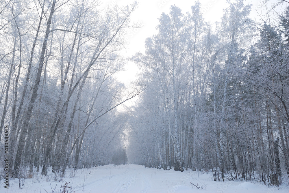 Winter fog in the vicinity of Omsk, Siberia Russia Winter fog in the vicinity of Omsk, Siberia Russia