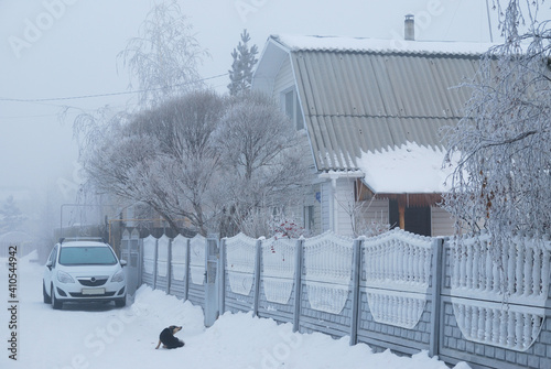 Fotografia Winter fog in the vicinity of Omsk, Siberia Russia