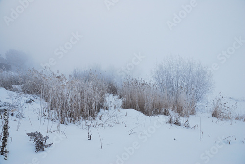 Winter fog in the vicinity of Omsk, Siberia Russia © alekskai