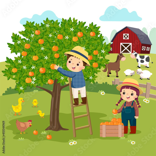 Vector illustration cartoon of little boy and little girl picking oranges in the farm.