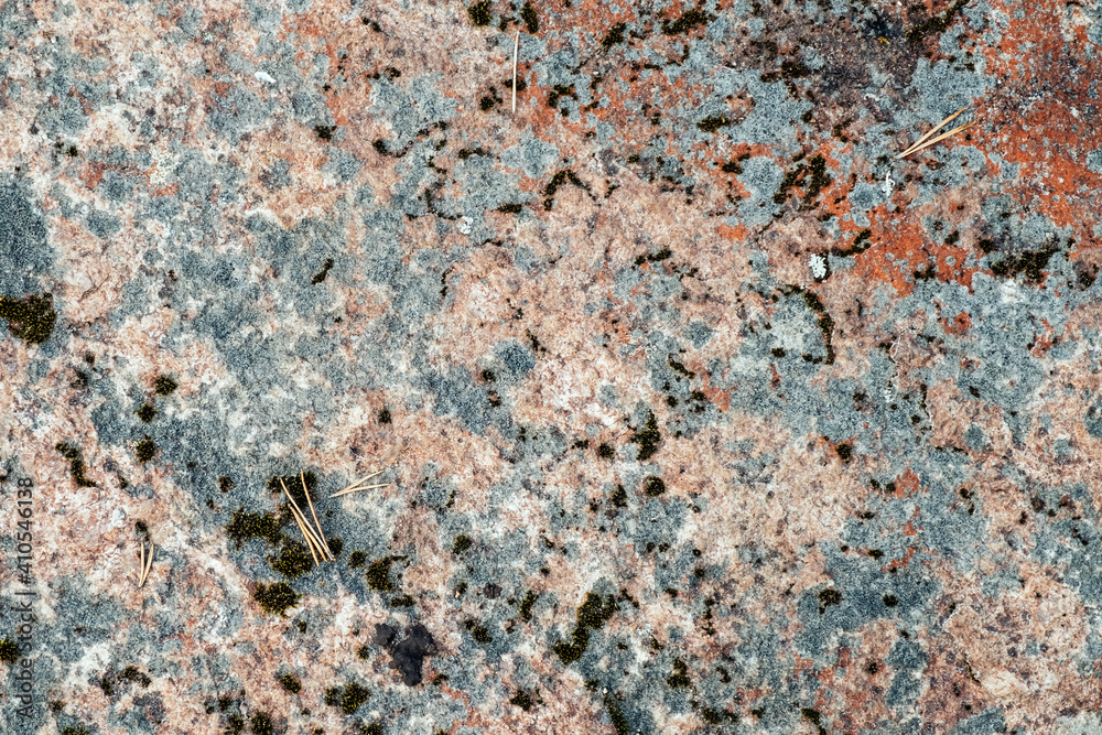 Colorful moss on the rock. Stone natural background Colorful moss on the rock. Stone natural background