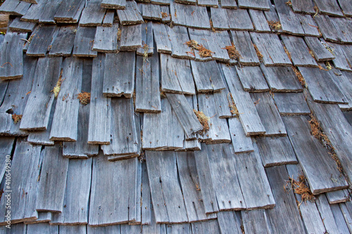 Shake roof  of a wilderness shelter
