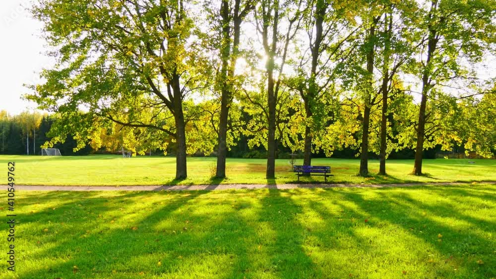 A beautiful panoramic view of the sun shining through trees to the ground in a park, in Helsinki, Finland A beautiful panoramic view of the sun shining through trees to the ground in a park, in Helsinki, Finland