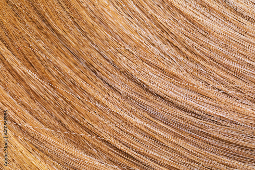 Fototapeta premium Texture of light colored female baby hair