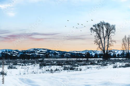 Winter Sunset In Jackson Hole Wyoming