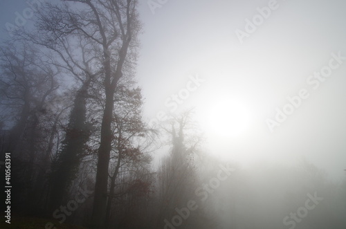 neblige landschaft im herbst photo