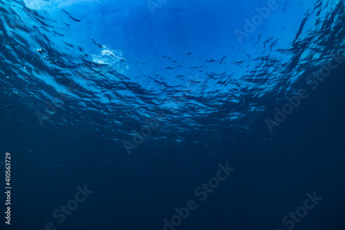 Underwater of tropical; sun rays passing through water.