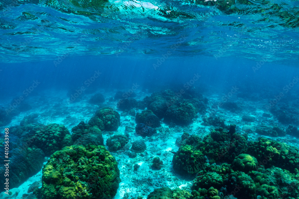 Underwater of tropical; sun rays passing through water.