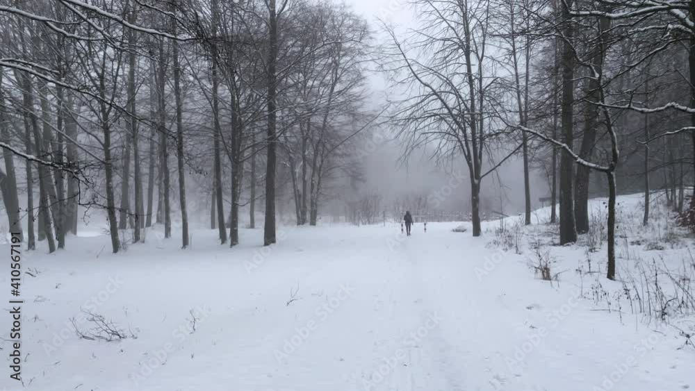 Person walking and running true the white snow in a forest in Górowo Iławeckie. Steady wide shot Person walking and running true the white snow in a forest in Górowo Iławeckie. Steady wide shot