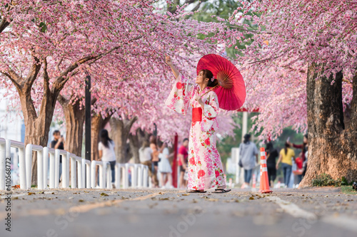 Valokuvatapetti woman in yukata (kimono dress) holding umbrella and looking sakura flower or che