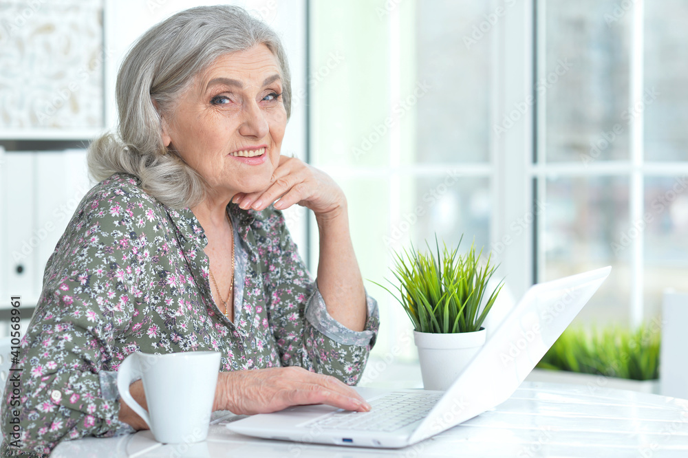 beautiful senior woman using laptop at home beautiful senior woman using laptop at home