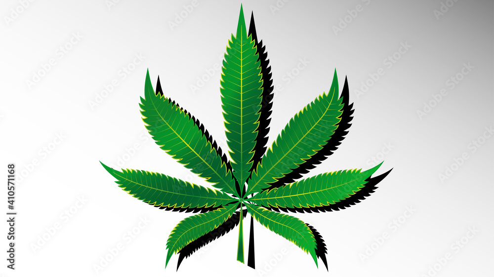 leaf of the plant medical hemp leaf of the plant medical hemp