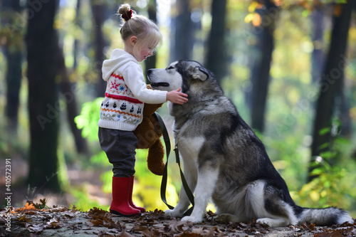 Child play with husky dog outdoor. Childhood, game and fun. Activity and active rest. Little girl with dog in forest.