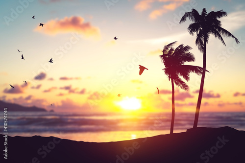 Fototapeta Naklejka Na Ścianę i Meble -  Silhouette palm tree at tropical beach with birds flying on sunset sky abstract background. Nature environment and travel freedom concept.
