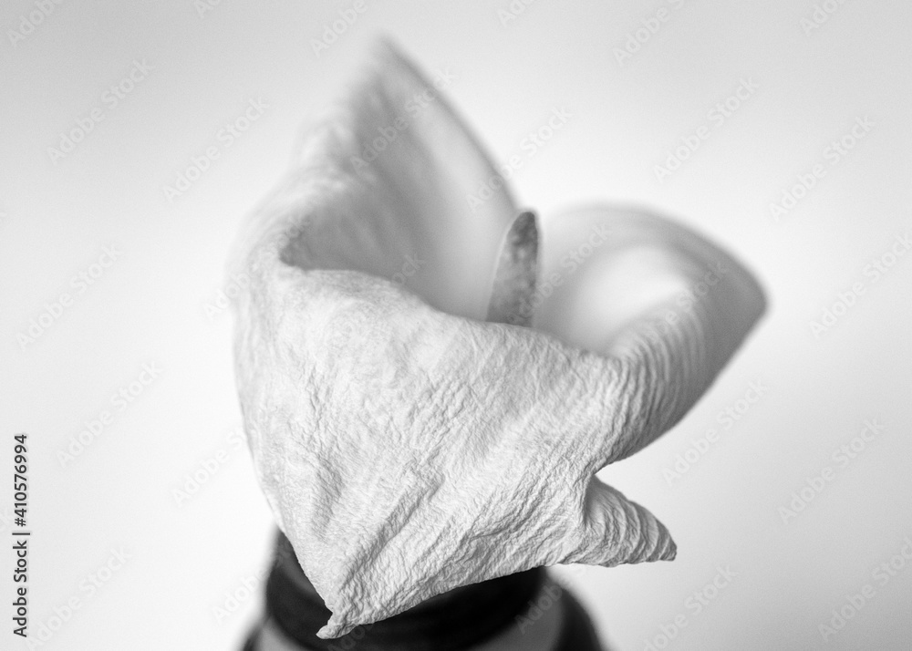 flowered white callus flower fragments, interesting old flower texture, callus