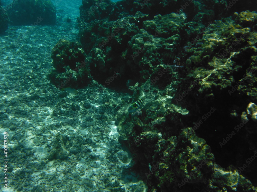 Naklejka premium Island