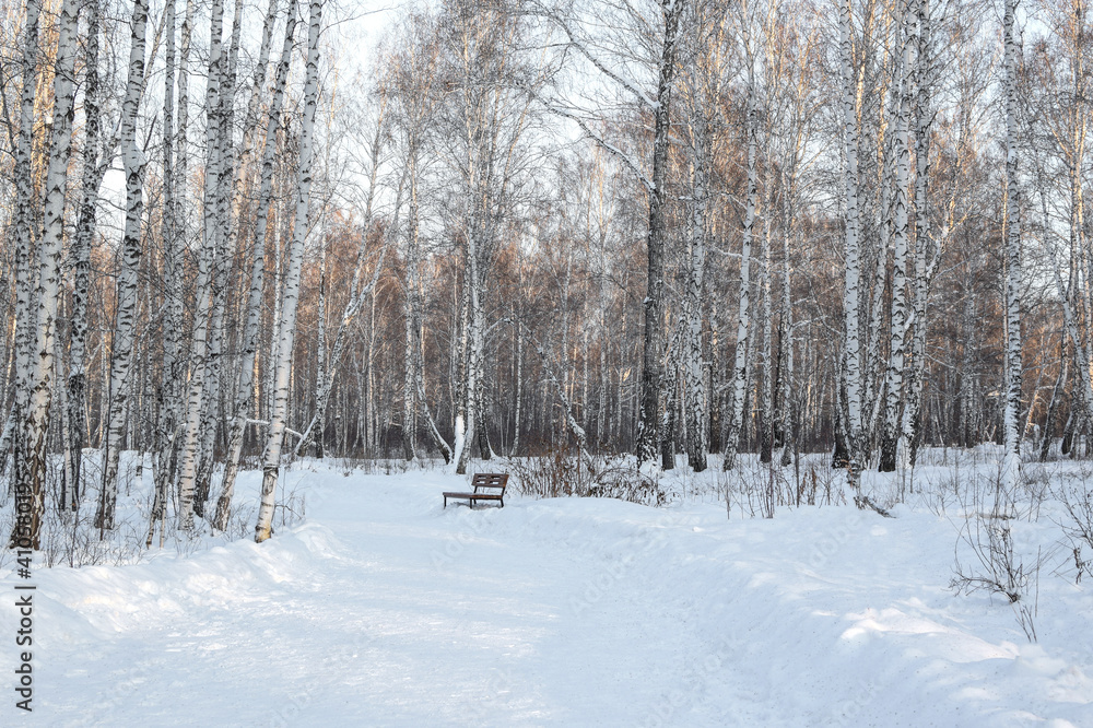 Winter road in the forest, illuminated by the bright sun. Birch Grove. Horizontal photography. Copy space. Winter road in the forest, illuminated by the bright sun. Birch Grove. Horizontal photography. Copy space.