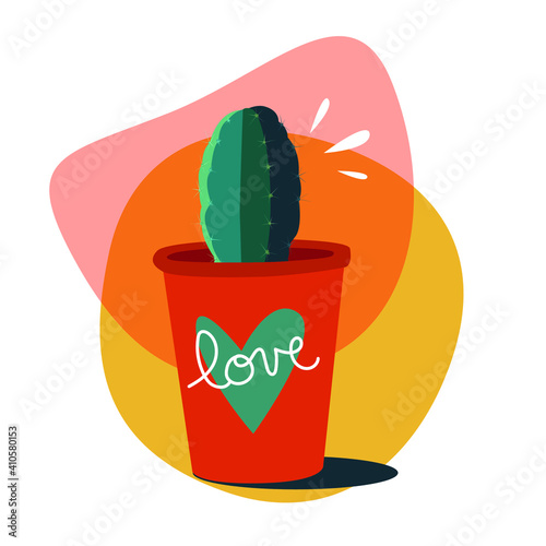 Petit cactus en pot