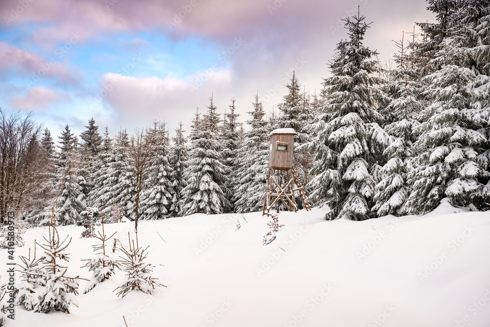 Fototapeta premium Romantischer Winterwald mit Jagd Hochsitz