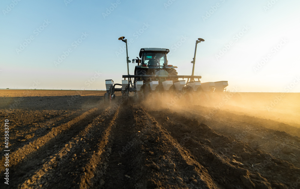 Fototapeta premium Farmer with tractor seeding