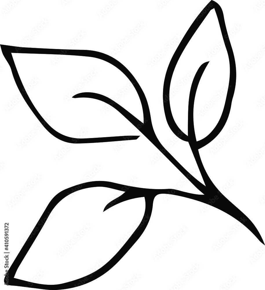 set of simple doodles of summer leaves. hand drawn vector graphics. black and white illustration set of simple doodles of summer leaves. hand drawn vector graphics. black and white illustration