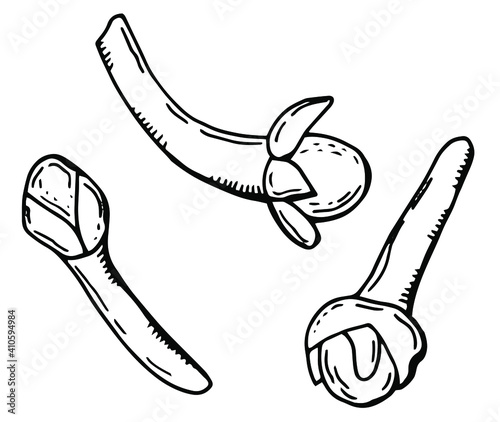 Linear set of cloves spices. White background, isolate. Vector illustration.