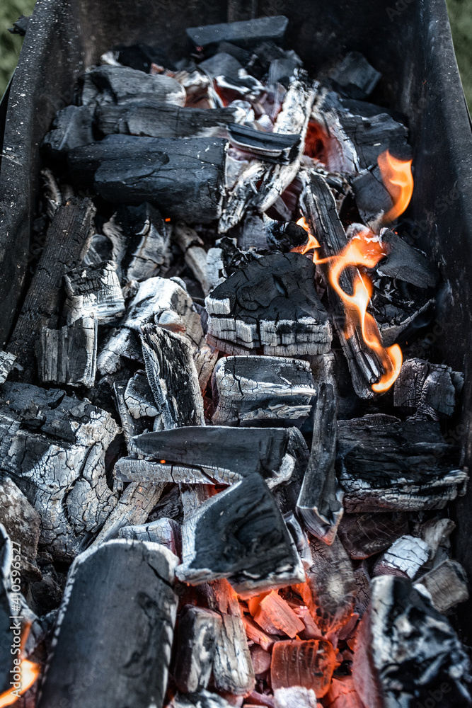 Obraz premium May and grilled meat