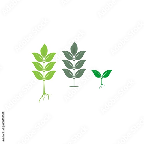 Plant Logo Design