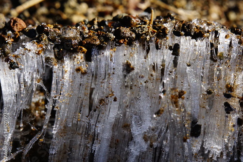 Wallpaper Mural 長く伸びた霜柱 Torontodigital.ca