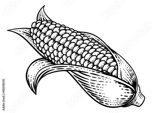 Corn vegetable illustration in a vintage retro woodcut etching style.